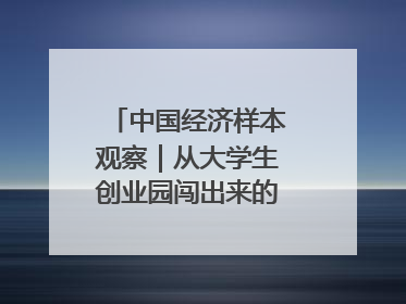 中国经济样本观察｜从大学生创业园闯出来的“小巨人”