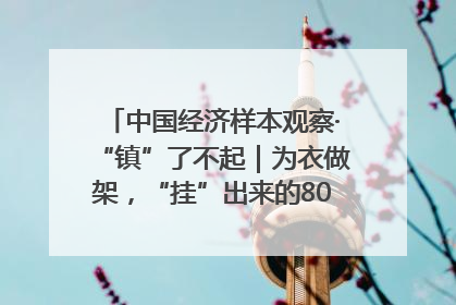 中国经济样本观察·“镇”了不起｜为衣做架，“挂”出来的80亿元“衣架产业”