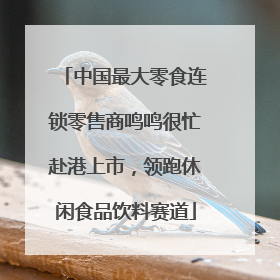 中国最大零食连锁零售商鸣鸣很忙赴港上市，领跑休闲食品饮料赛道