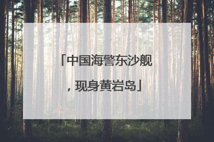 中国海警东沙舰，现身黄岩岛