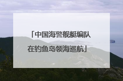 中国海警舰艇编队在钓鱼岛领海巡航