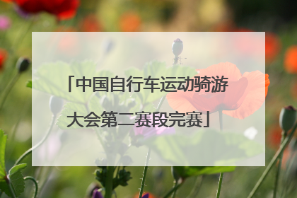 中国自行车运动骑游大会第二赛段完赛