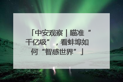中安观察｜瞄准“千亿级”，看蚌埠如何“智感世界”
