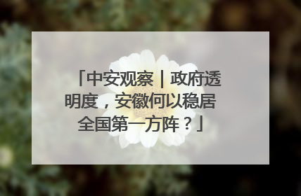 中安观察｜政府透明度，安徽何以稳居全国第一方阵？