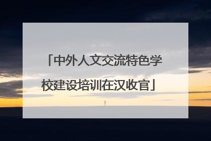 中外人文交流特色学校建设培训在汉收官