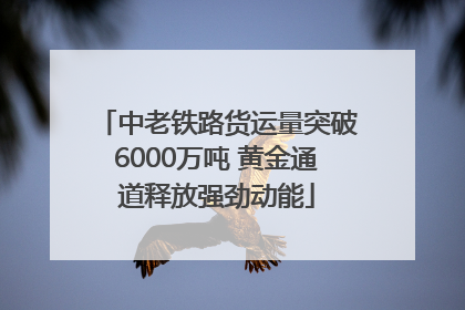中老铁路货运量突破6000万吨 黄金通道释放强劲动能