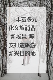 丰富多元化文旅消费新场景 海安打造旅游新兴目的地