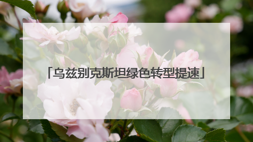 乌兹别克斯坦绿色转型提速