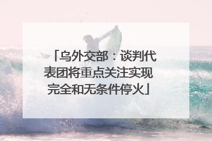 乌外交部：谈判代表团将重点关注实现完全和无条件停火