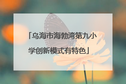 乌海市海勃湾第九小学创新模式有特色
