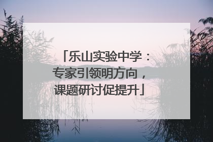 乐山实验中学：专家引领明方向，课题研讨促提升