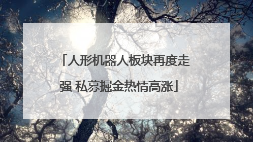人形机器人板块再度走强 私募掘金热情高涨