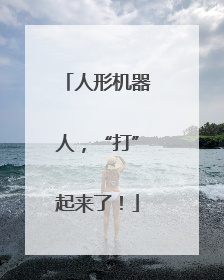 人形机器人，“打”起来了！
