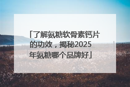 了解氨糖软骨素钙片的功效，揭秘2025年氨糖哪个品牌好