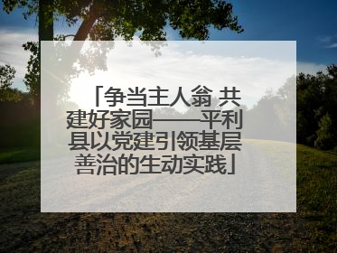 争当主人翁 共建好家园——平利县以党建引领基层善治的生动实践