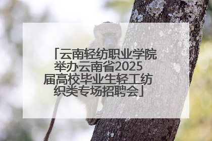 云南轻纺职业学院举办云南省2025届高校毕业生轻工纺织类专场招聘会