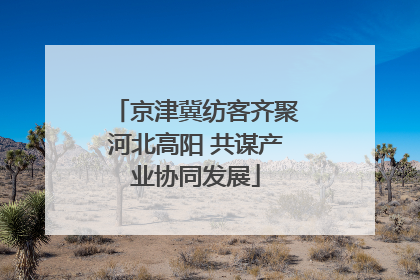 京津冀纺客齐聚河北高阳 共谋产业协同发展