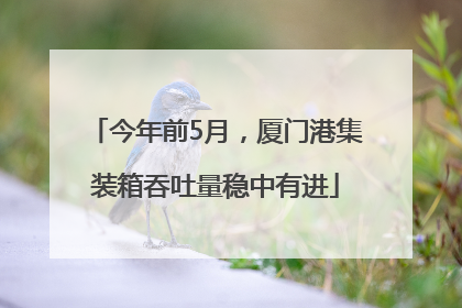 今年前5月，厦门港集装箱吞吐量稳中有进
