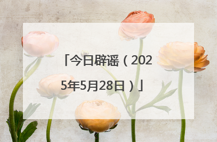 今日辟谣（2025年5月28日）