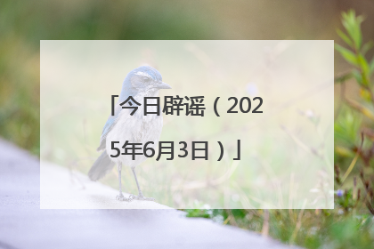今日辟谣（2025年6月3日）