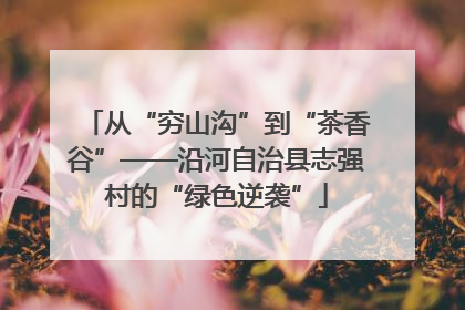 从“穷山沟”到“茶香谷”——沿河自治县志强村的“绿色逆袭”