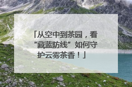 从空中到茶园，看“藏蓝防线”如何守护云雾茶香！