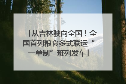 从吉林驶向全国！全国首列粮食多式联运“一单制”班列发车