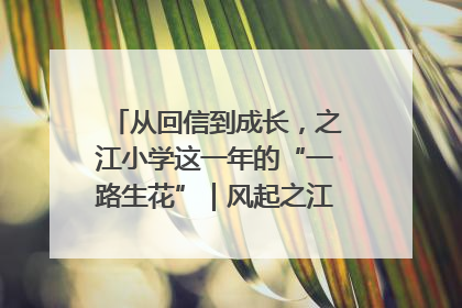 从回信到成长，之江小学这一年的“一路生花”｜风起之江 扶摇直上
