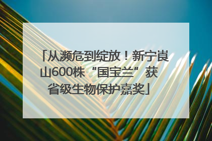 从濒危到绽放！新宁崀山600株“国宝兰”获省级生物保护嘉奖