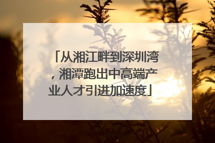 从湘江畔到深圳湾，湘潭跑出中高端产业人才引进加速度