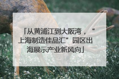 从黄浦江到大阪湾，“上海制造佳品汇”园区出海展示产业新风向