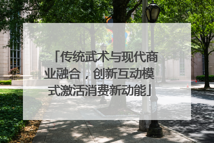 传统武术与现代商业融合，创新互动模式激活消费新动能