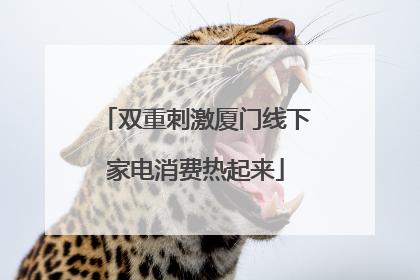 双重刺激厦门线下家电消费热起来