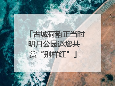 古城荷韵正当时 明月公园邀您共赏“别样红”