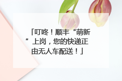 叮咚！顺丰“萌新”上岗，您的快递正由无人车配送！