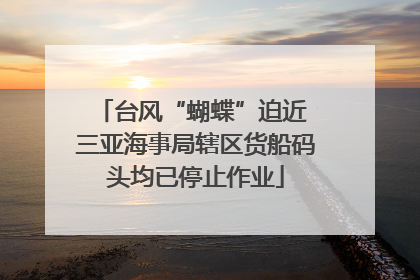 台风“蝴蝶”迫近 三亚海事局辖区货船码头均已停止作业