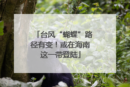 台风“蝴蝶”路径有变！或在海南这一带登陆
