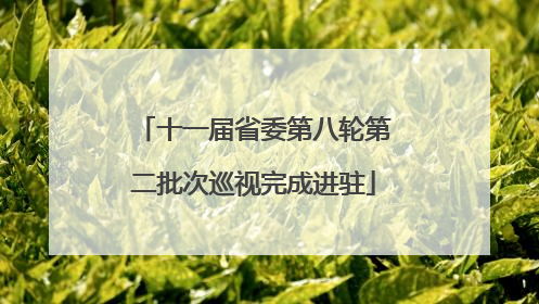 十一届省委第八轮第二批次巡视完成进驻