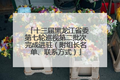 十三届黑龙江省委第七轮巡视第二批次完成进驻（附组长名单、联系方式）
