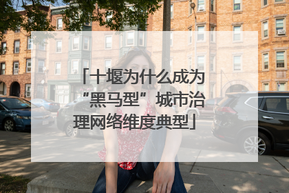 十堰为什么成为“黑马型”城市治理网络维度典型