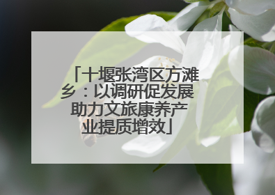 十堰张湾区方滩乡：以调研促发展 助力文旅康养产业提质增效