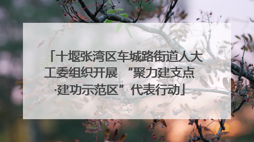 十堰张湾区车城路街道人大工委组织开展 “聚力建支点·建功示范区”代表行动
