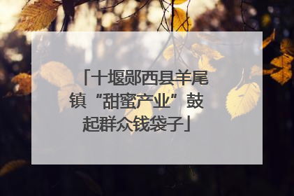 十堰郧西县羊尾镇“甜蜜产业”鼓起群众钱袋子