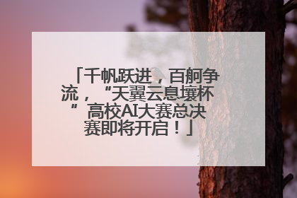 千帆跃进，百舸争流，“天翼云息壤杯”高校AI大赛总决赛即将开启！
