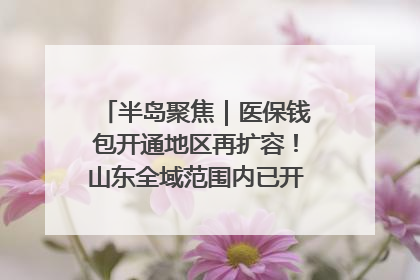 半岛聚焦｜医保钱包开通地区再扩容！山东全域范围内已开通，有何用处？如何操作？速戳→