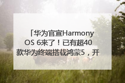 华为官宣HarmonyOS 6来了！已有超40款华为终端搭载鸿蒙5，开发者突破800万