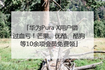 华为Pura X用户错过血亏！芒果、优酷、酷狗等10余项会员免费领
