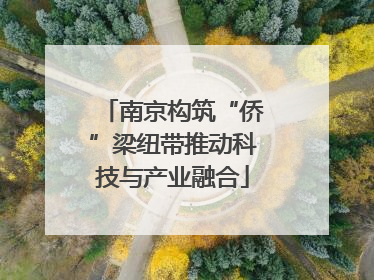 南京构筑“侨”梁纽带推动科技与产业融合