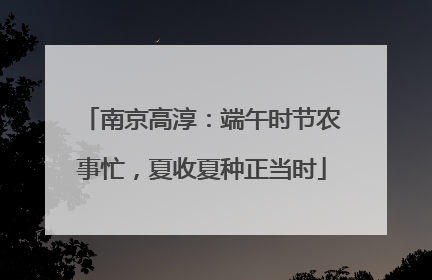 南京高淳：端午时节农事忙，夏收夏种正当时