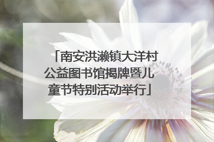南安洪濑镇大洋村公益图书馆揭牌暨儿童节特别活动举行